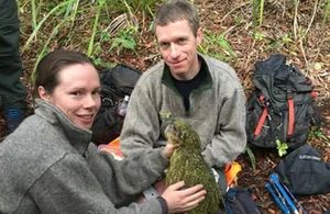 Meet the Kakapo: The World’s Only Flightless Parrot and Expert Tree Climber - image 1