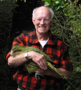 Meet the Kakapo: The World’s Only Flightless Parrot and Expert Tree Climber - image 7