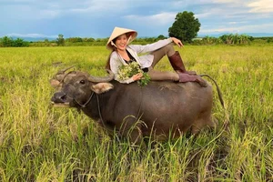 From Buffalo Herder to Miss Universe Vietnam 2023 Favorite - image 8