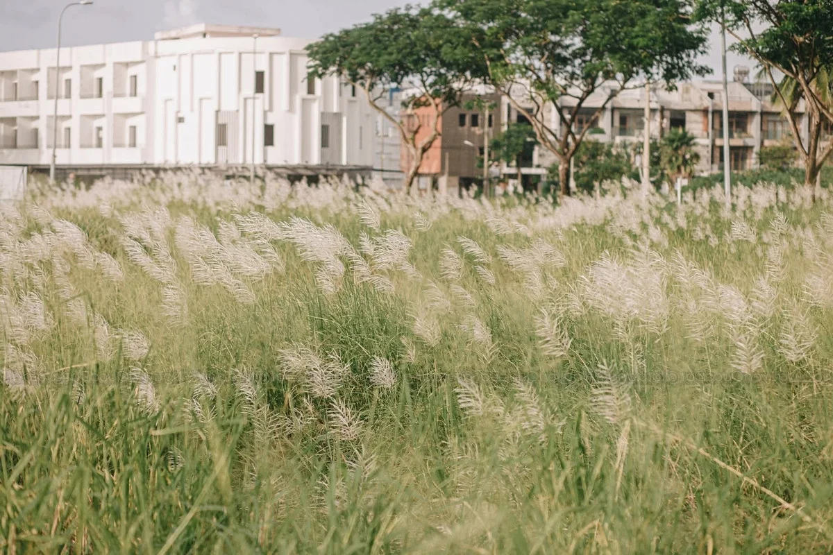 Escape the Ordinary: Discovering Da Nang’s Serene Hidden Gems and Ethereal Landscapes