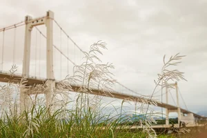 Escape the Ordinary: Discovering Da Nang’s Serene Hidden Gems and Ethereal Landscapes - image 3