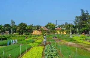 Escape the Ordinary: Discovering Da Nang’s Serene Hidden Gems and Ethereal Landscapes - image 4