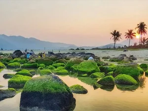 Escape the Ordinary: Discovering Da Nang’s Serene Hidden Gems and Ethereal Landscapes - image 2