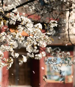 Visual Storytelling in YiTuYu Art Language Vol. 4201: Featuring the Radiant Wei Wei - image 40