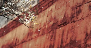 Visual Storytelling in YiTuYu Art Language Vol. 4201: Featuring the Radiant Wei Wei - image 34