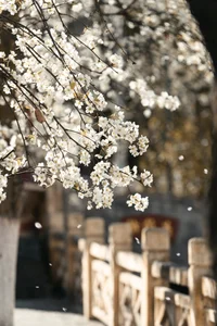 Visual Storytelling in YiTuYu Art Language Vol. 4201: Featuring the Radiant Wei Wei - image 49