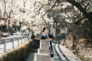 Visual Storytelling in YiTuYu Art Language Vol. 4201: Featuring the Radiant Wei Wei - image 23