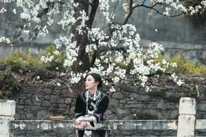 Visual Storytelling in YiTuYu Art Language Vol. 4201: Featuring the Radiant Wei Wei - image 8