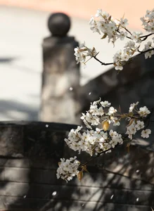Visual Storytelling in YiTuYu Art Language Vol. 4201: Featuring the Radiant Wei Wei - image 38