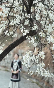Visual Storytelling in YiTuYu Art Language Vol. 4201: Featuring the Radiant Wei Wei - image 45