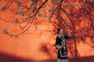 Visual Storytelling in YiTuYu Art Language Vol. 4201: Featuring the Radiant Wei Wei - image 9