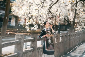 Visual Storytelling in YiTuYu Art Language Vol. 4201: Featuring the Radiant Wei Wei - image 12