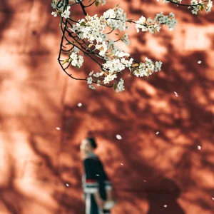 Visual Storytelling in YiTuYu Art Language Vol. 4201: Featuring the Radiant Wei Wei - image 33