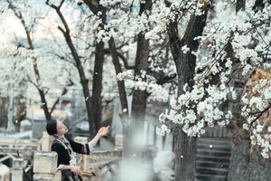 Visual Storytelling in YiTuYu Art Language Vol. 4201: Featuring the Radiant Wei Wei - image 43