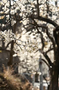 Visual Storytelling in YiTuYu Art Language Vol. 4201: Featuring the Radiant Wei Wei - image 25