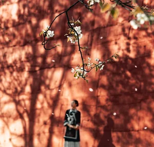 Visual Storytelling in YiTuYu Art Language Vol. 4201: Featuring the Radiant Wei Wei - image 32