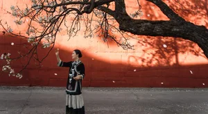 Visual Storytelling in YiTuYu Art Language Vol. 4201: Featuring the Radiant Wei Wei - image 30