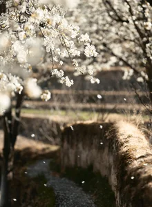 Visual Storytelling in YiTuYu Art Language Vol. 4201: Featuring the Radiant Wei Wei - image 22