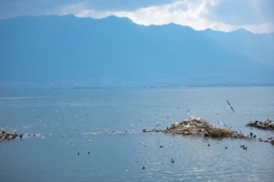 Ethereal Grace of Wan Jiang Ting in YiTuYu Art Language Vol.8851 by the Lake - image 14
