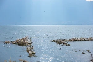 Ethereal Grace of Wan Jiang Ting in YiTuYu Art Language Vol.8851 by the Lake - image 31