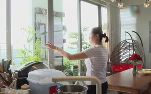 Inside the Lush Indoor Vegetable Garden of a Beauty Queen and Mother of Five - image 1