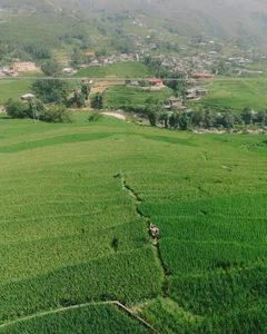 Exploring Ta Van: The Breathtaking 'Village in the Clouds' of Sapa, Vietnam - image 3