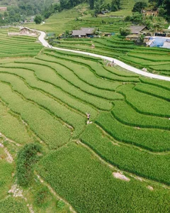 Exploring Ta Van: The Breathtaking 'Village in the Clouds' of Sapa, Vietnam - image 8