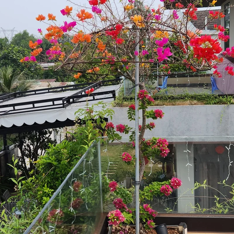 Inside the Resort-Style Luxury Villa of a Famous Vietnamese Singer