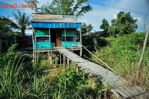 The Fascinating Origins and History Behind the Name Dong Thap Muoi - image 8