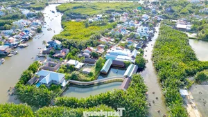 Experience the Magic of Hoi An Ancient Town During Lunar New Year 2026: Free Entry and Cultural Festivities in Vietnam - image 4