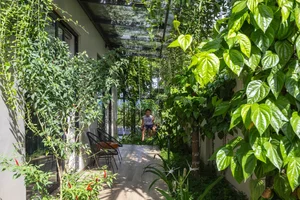 Modern Architecture in Nghe An: The Unique One-Room Sloped Roof House - image 13