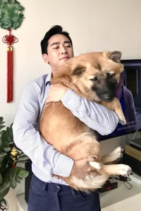 Vietnamese Singer Trung Quan Idol Suffers Broken Rib and Celebrity News Updates - image 2
