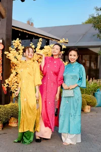 Vietnamese Celebrities Shine in Traditional Ao Dai for Lunar New Year 2024 Celebrations - image 15