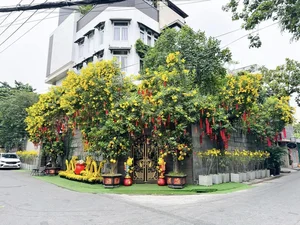 Vietnamese Celebrities Shine in Traditional Ao Dai for Lunar New Year 2024 Celebrations - image 17