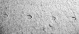 Unraveling the Mystery of England's Historic Devil's Footprints - image 6