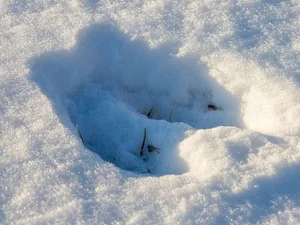 Unraveling the Mystery of England's Historic Devil's Footprints - image 8