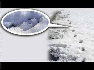 Unraveling the Mystery of England's Historic Devil's Footprints - image 2