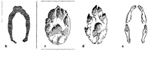 Unraveling the Mystery of England's Historic Devil's Footprints - image 7