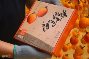 Discover the Charm of Da Lat Persimmon Season: A Golden Autumn Journey - image 2