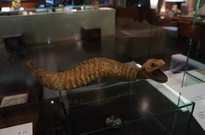 The Mystery of the Snake-Like Creature That Moves Like an Inchworm - image 1