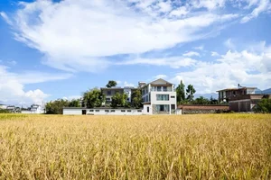 Stunning 700m2 Villa: A Heartwarming Gift from Four Sons to Their Parents - image 7