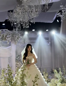 Luxury Wedding Bliss: Penthouse Heiress Shares Stunning 11 Billion Penthouse Photos - image 2