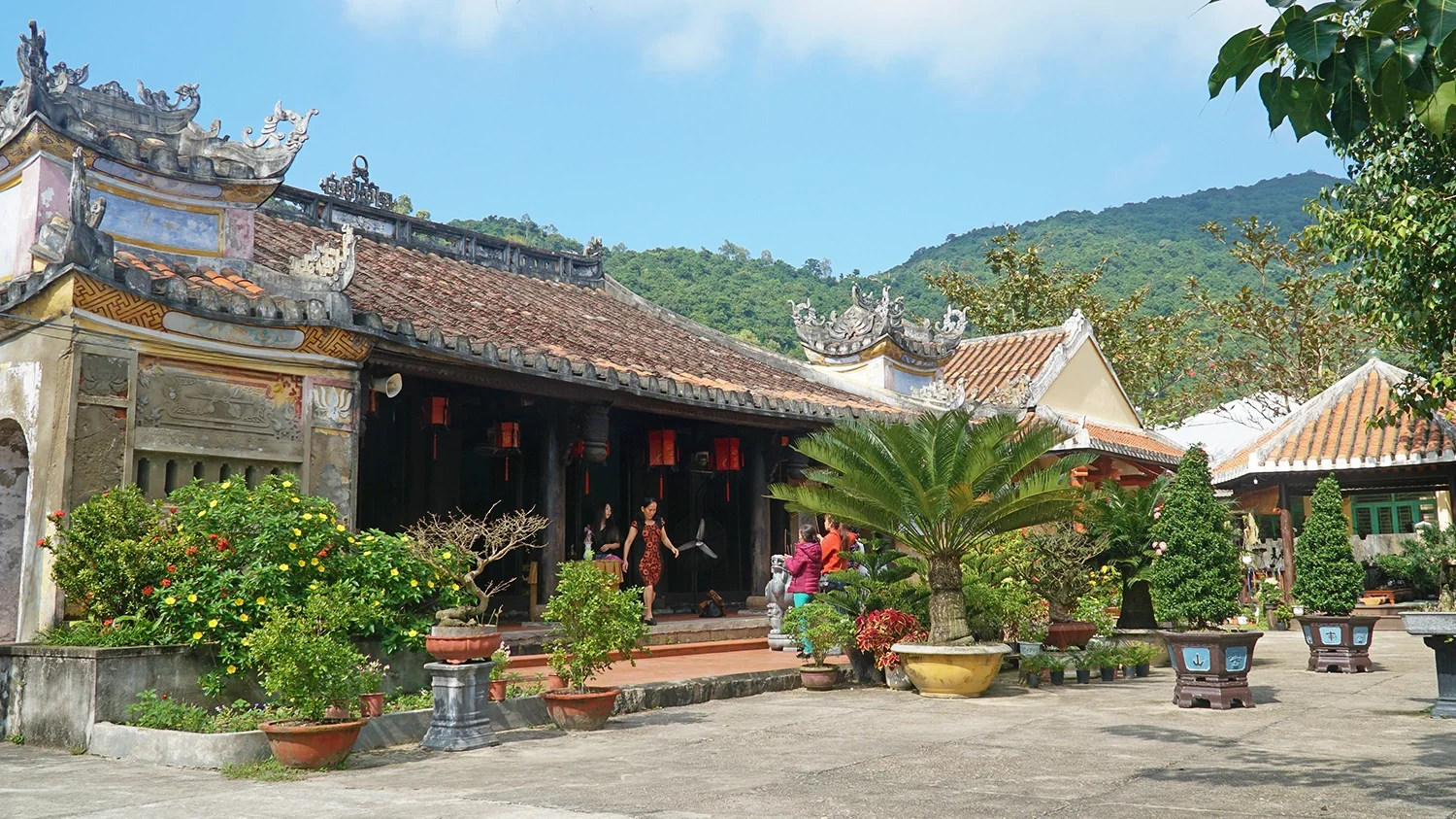 The Ultimate 2024 Cu Lao Cham Travel Guide: Everything You Need to Know