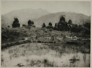 Rare 1926 Archival Photos of Champa Monuments in Vietnam: Exploring the Ancient Architecture and Cultural Heritage of the Cham Kingdom - image 7