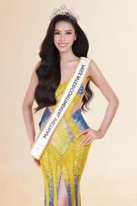 Stunning Figures of Four Vietnamese Beauties Competing Internationally in Late 2023 - image 11