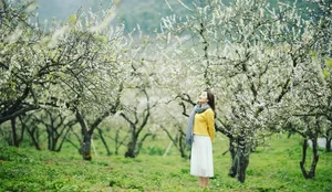 Top 5 Stunning Travel Destinations for 2025 Lunar New Year - image 3