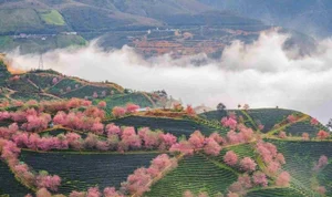 Top 5 Stunning Travel Destinations for 2025 Lunar New Year - image 8