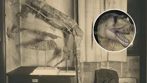 Discover the Mystery of Egypt's Giant Horned Dinosaur Species - image 6