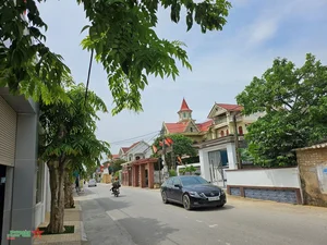 Cuong Gian: The Extraordinary Billionaire Village of Central Vietnam - image 6