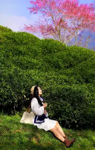 Sa Pa's Stunning Cherry Blossoms: Discover the Most Beautiful Season in the Mountain Town - image 2